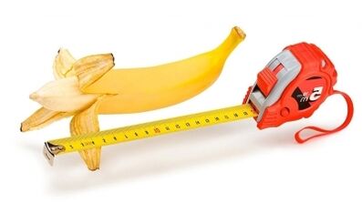 The normal penis size is between 13 and 17 cm
